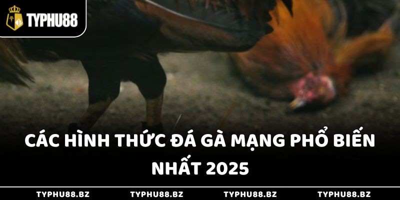 Đá Gà Trên Casino Online Typhu88 - 3 Lợi Ích Hàng Đầu 4 Các hình thức đá gà mạng phổ biến nhất 2025